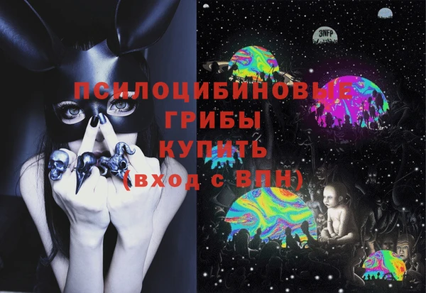 PSILOCYBIN Балахна