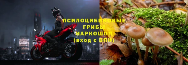 соль ск Армянск