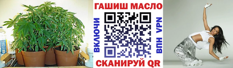 закладки  Магас  ТГК вейп 